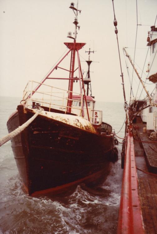 tender Howard Beer 1984.jpg