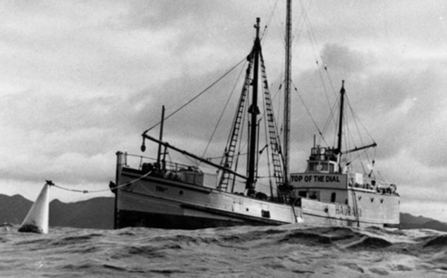 een onbekende op hauraki