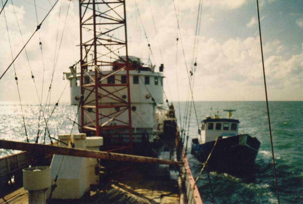 Zeemeeuw langszij  Ross Revenge 1987.jpg