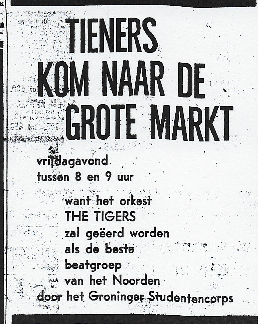 rocking tigers2.jpeg