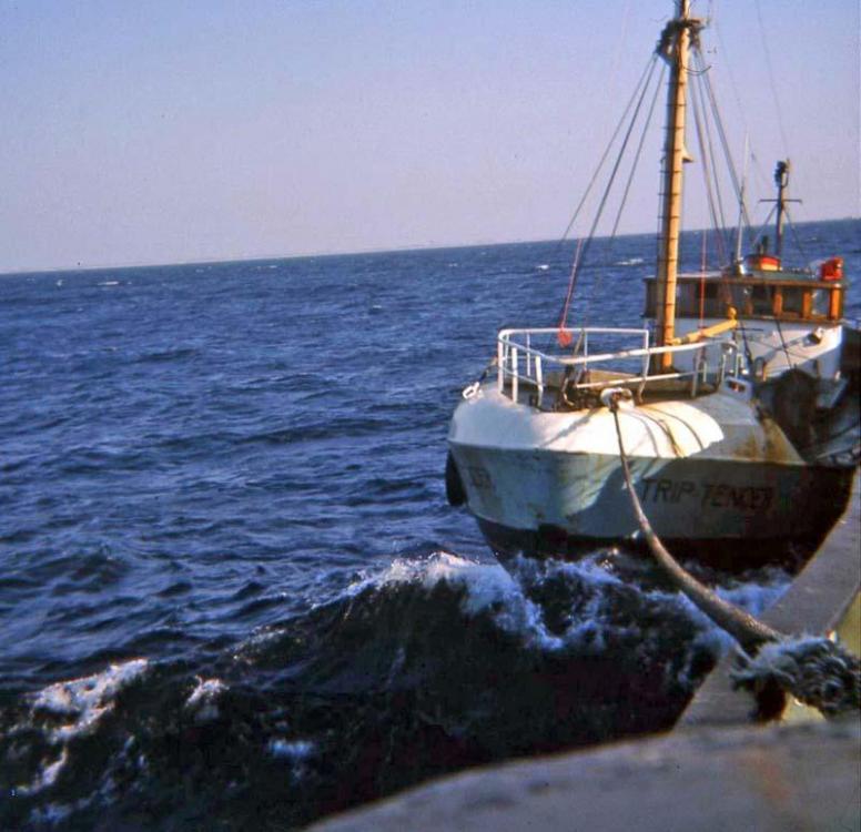 RNI - HansH (104).jpg