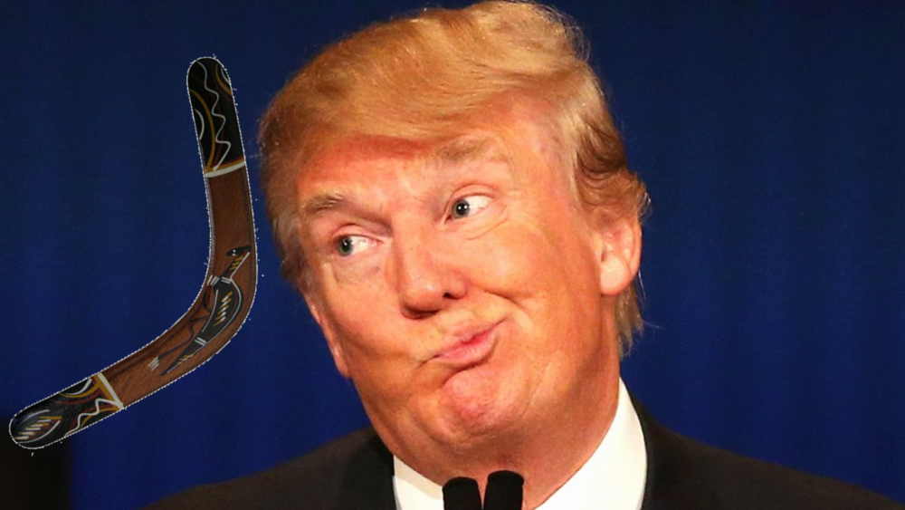 Trump Boomerang.png