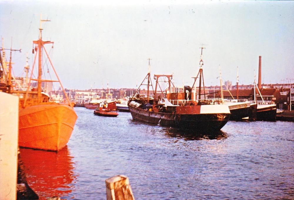 Delmare Aegir-Epivan_0010.jpg