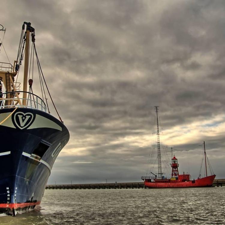 JB grijze dag 2017 Foto Gino.jpg