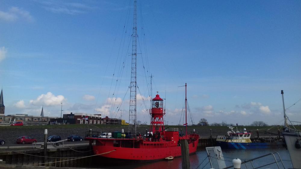 LV 8 Jenni Baynton.jpg