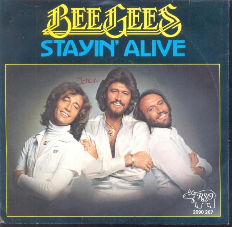 Staying alive, BILD.jpg