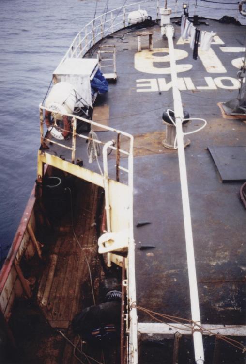 fiberglass  mast Ross Revenge 1988.jpg