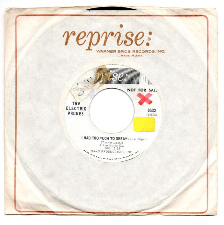 Electric Prunes .jpg